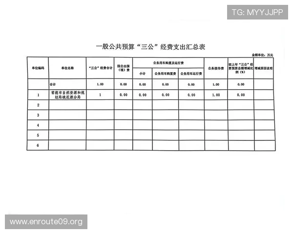 三公经费在政府预算中的作用及其对公共财政透明度和公众监督的重要意义